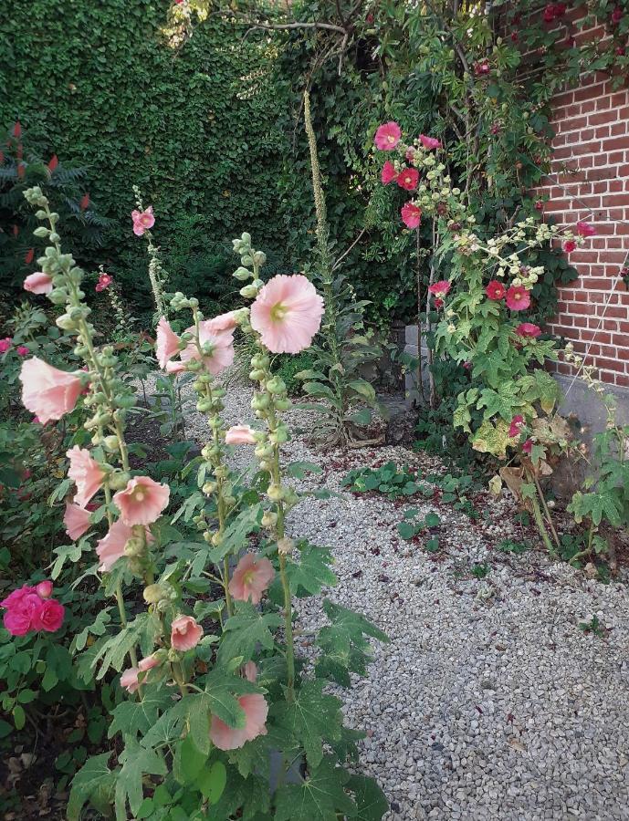 Villa Ritte Dendermonde Exterior photo